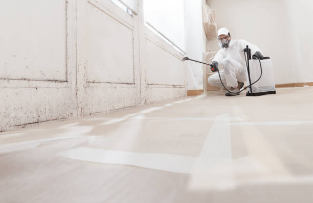 24/7 Emergency Attic Mold Removal experts in Clayton, NJ