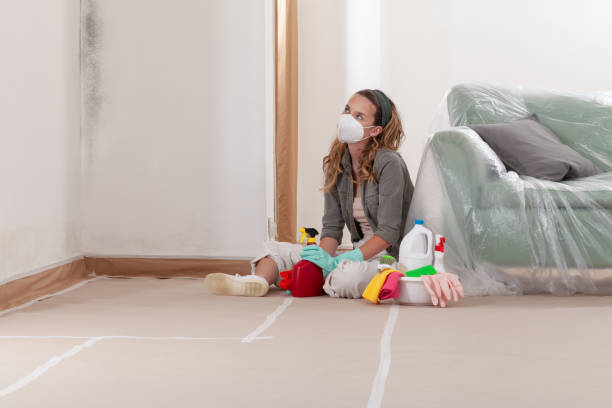 Reliable Attic Mold Removal contractor in Clayton, NJ by WQB Mold Removal