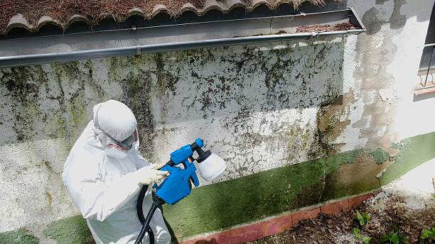 Top rated local Attic Mold Removal specialists in Clayton, NJ